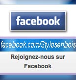 page Facebook de Stylos-en-bois.fr